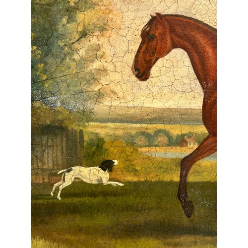 52 - A portrait of a horse and gentleman in landscape, modern oil on board, in ornate gilt frame, overall... 