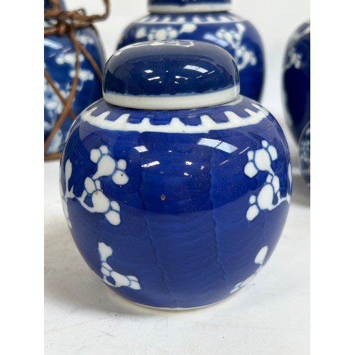 128 - 7 Chinese blue and white porcelain prunus pattern ginger jars and covers, largest 15cm