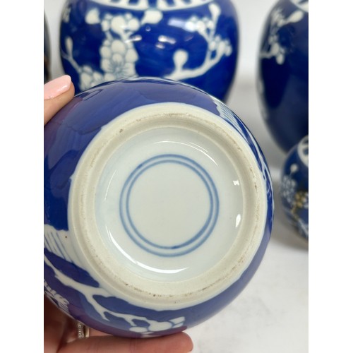 128 - 7 Chinese blue and white porcelain prunus pattern ginger jars and covers, largest 15cm