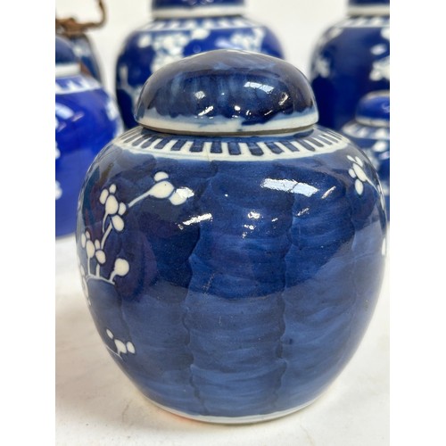 128 - 7 Chinese blue and white porcelain prunus pattern ginger jars and covers, largest 15cm
