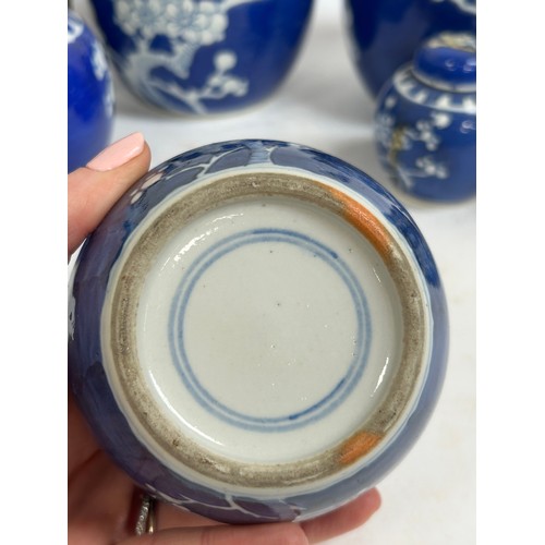 128 - 7 Chinese blue and white porcelain prunus pattern ginger jars and covers, largest 15cm
