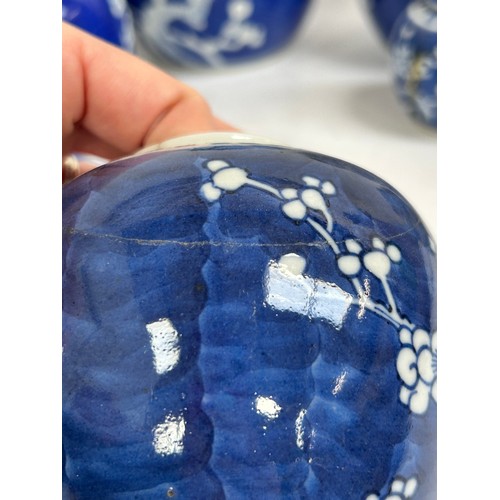 128 - 7 Chinese blue and white porcelain prunus pattern ginger jars and covers, largest 15cm