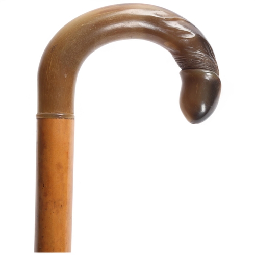 Lot 16        