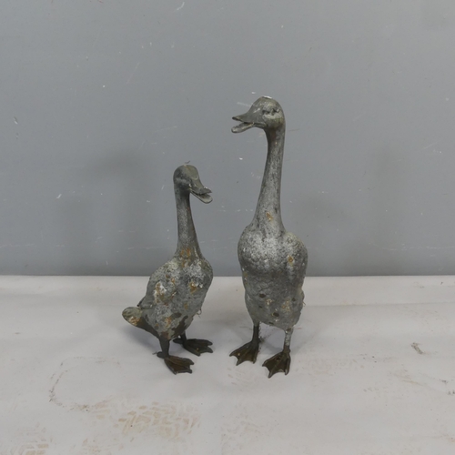 Lot 3013      