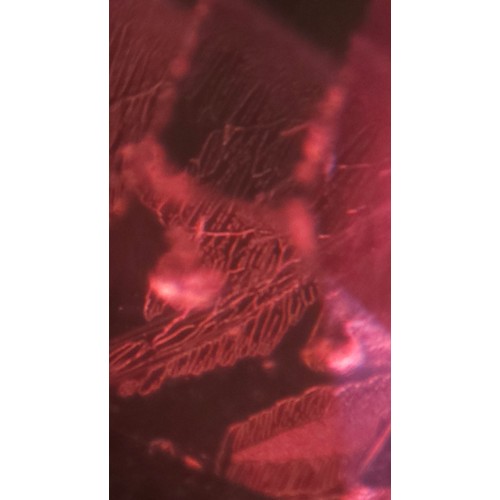 1120 - A fine 18ct gold ruby and diamond cluster ring, claw set with 2.5ct oval mixed-cut ruby surrounded b... 