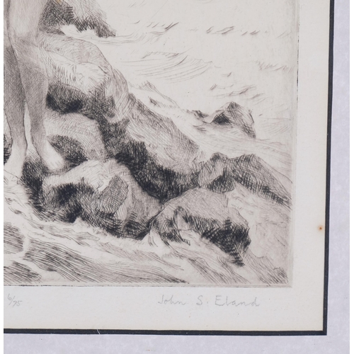 88 - John Eland (1872 - 1933), Sea Maiden, etching, signed in pencil, no. 6/75, plate 27cm x 19cm, framed
