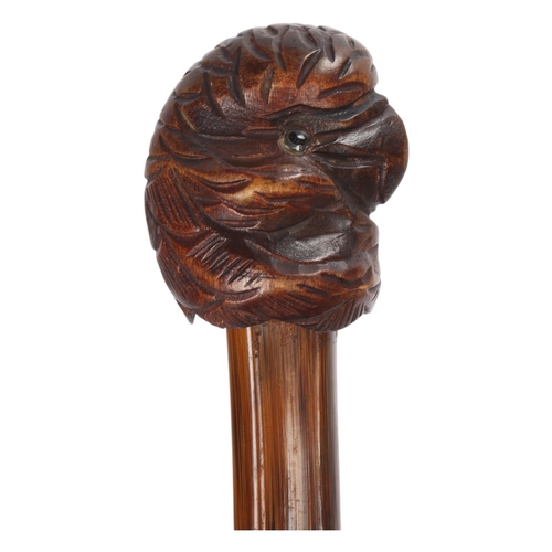 319 - A well-carved parrot head handle cane with inset glass eyes and dark beak, on a later unusually shap... 