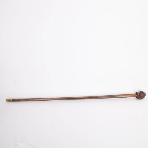 319 - A well-carved parrot head handle cane with inset glass eyes and dark beak, on a later unusually shap... 