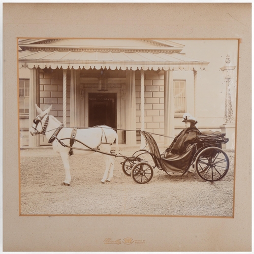 352 - ROYAL INTEREST - A 19th century photograph of Queen Victoria driving a donkey cart during her visit ... 