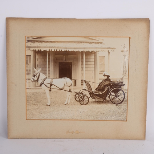 352 - ROYAL INTEREST - A 19th century photograph of Queen Victoria driving a donkey cart during her visit ... 