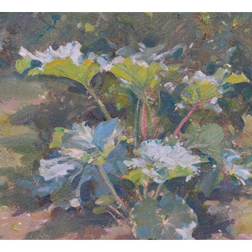 739 - David Jan Curtis (born 1948), Rhubard, oil on board, 1999, 18cm x 25cm, framed