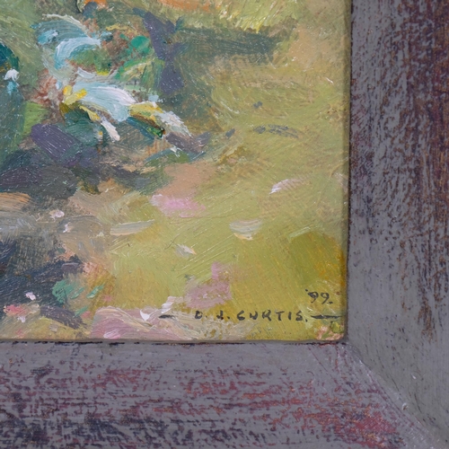 739 - David Jan Curtis (born 1948), Rhubard, oil on board, 1999, 18cm x 25cm, framed