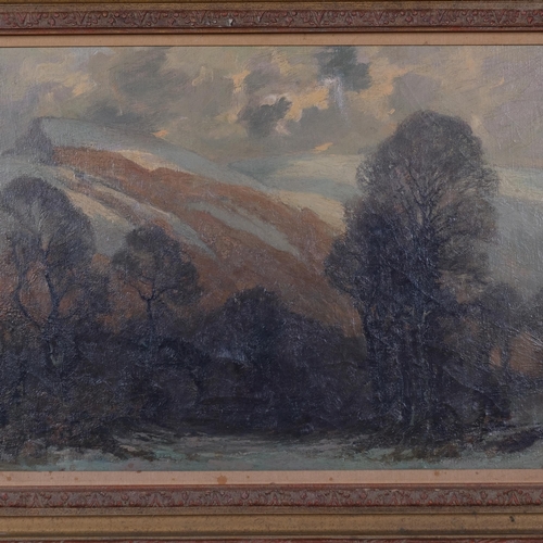 747 - Frederick Hayden (born 1874), mountain landscape, oil on canvas, 46cm x 61cm, framed