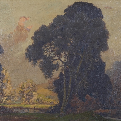 748 - Frederick Hayden (born 1874), mountain landscape, oil on canvas, 65cm x 80cm, framed