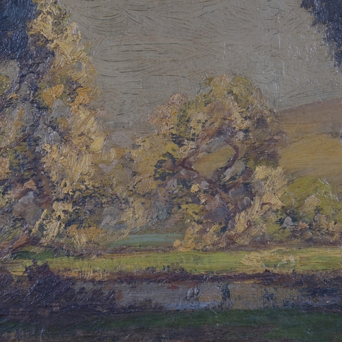 748 - Frederick Hayden (born 1874), mountain landscape, oil on canvas, 65cm x 80cm, framed