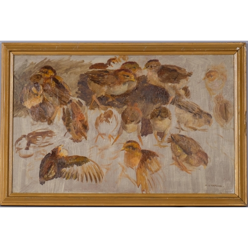 Lot 782       