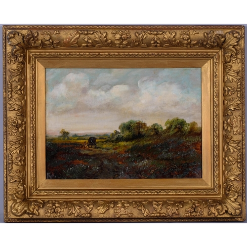 Lot 786       