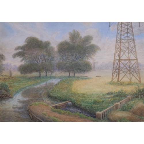 Lot 795       