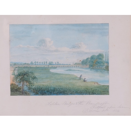 Lot 799       