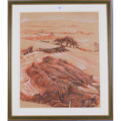 Lot 828       