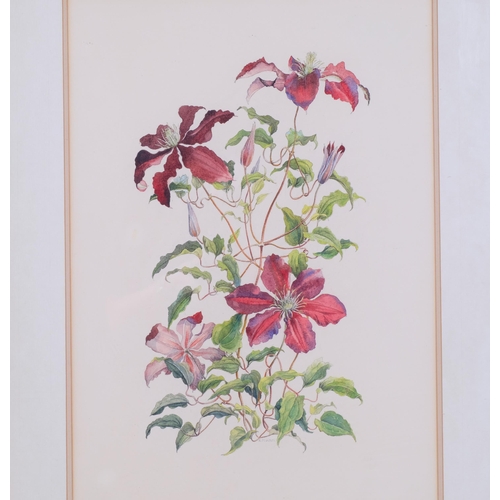 Lot 830       