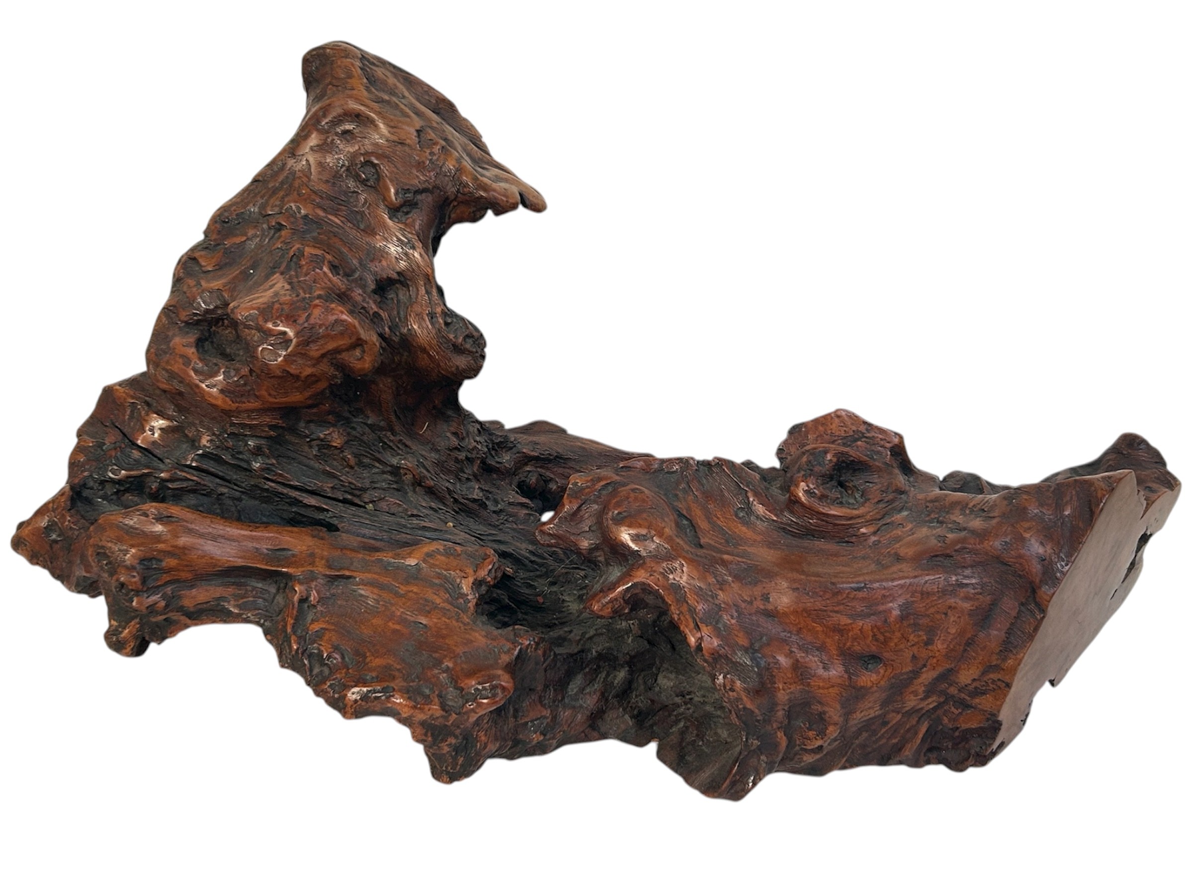 A large Japanese root wood carving. Overall length 74cm.