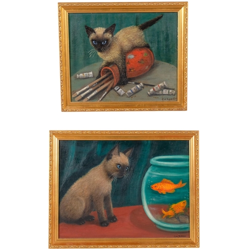 564 - C A Rohn, 2 studies of playing cats, oils on board, largest 30cm x 40cm, framed (2)