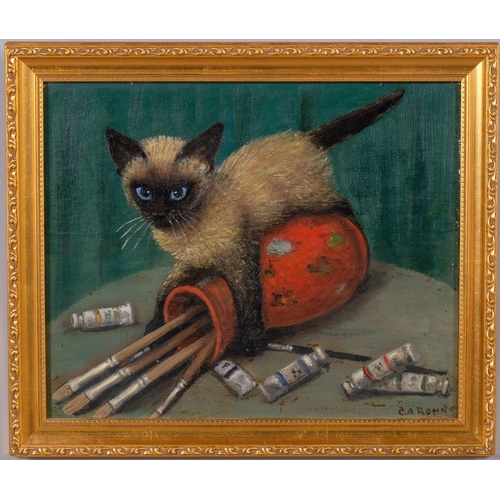 564 - C A Rohn, 2 studies of playing cats, oils on board, largest 30cm x 40cm, framed (2)
