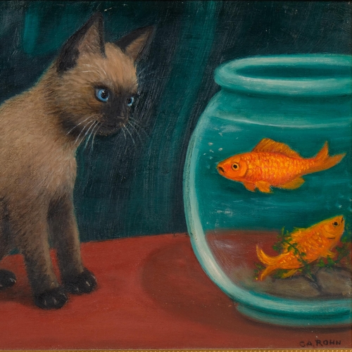 564 - C A Rohn, 2 studies of playing cats, oils on board, largest 30cm x 40cm, framed (2)