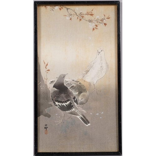 581 - Koson Ohara, pigeons, watercolour/gouache, 35cm x 19cm, framed