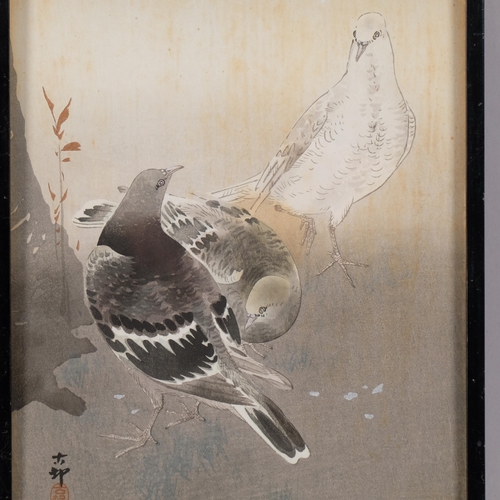 581 - Koson Ohara, pigeons, watercolour/gouache, 35cm x 19cm, framed
