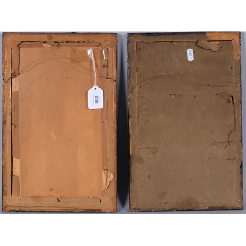 603 - Pair of Chinese watercolours on pith paper, 32cm x 19cm, framed