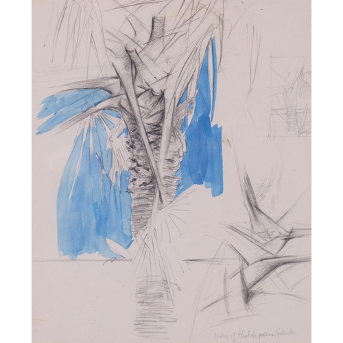 611 - Attributed to Graham Sutherland, study of a palm tree, pencil/watercolour, circa 1960, unsigned with... 