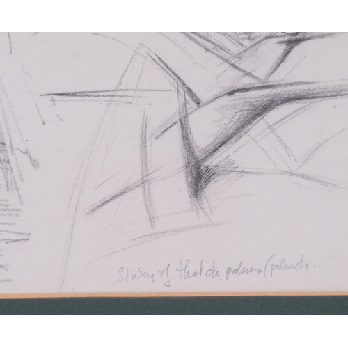 611 - Attributed to Graham Sutherland, study of a palm tree, pencil/watercolour, circa 1960, unsigned with... 