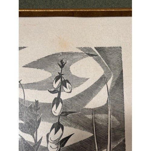 602 - Monica Poole (1921-2003), foxgloves, woodcut print, signed in pencil, no. 11/175, plate 20cm x 10.5c... 