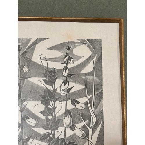 602 - Monica Poole (1921-2003), foxgloves, woodcut print, signed in pencil, no. 11/175, plate 20cm x 10.5c... 
