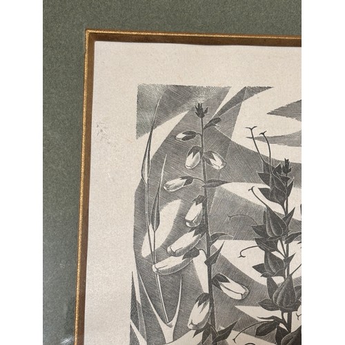 602 - Monica Poole (1921-2003), foxgloves, woodcut print, signed in pencil, no. 11/175, plate 20cm x 10.5c... 