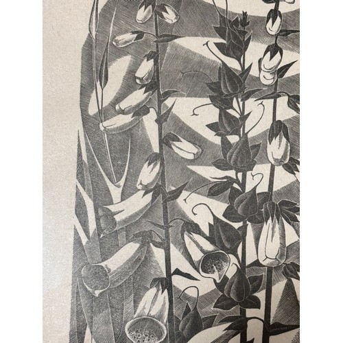 602 - Monica Poole (1921-2003), foxgloves, woodcut print, signed in pencil, no. 11/175, plate 20cm x 10.5c... 