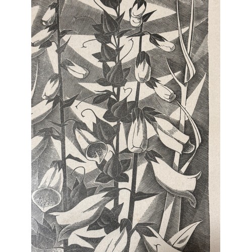 602 - Monica Poole (1921-2003), foxgloves, woodcut print, signed in pencil, no. 11/175, plate 20cm x 10.5c... 