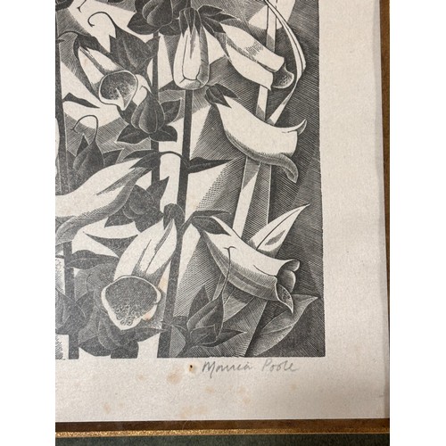602 - Monica Poole (1921-2003), foxgloves, woodcut print, signed in pencil, no. 11/175, plate 20cm x 10.5c... 