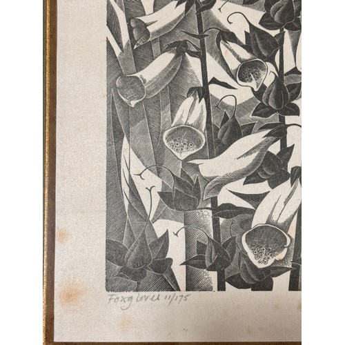 602 - Monica Poole (1921-2003), foxgloves, woodcut print, signed in pencil, no. 11/175, plate 20cm x 10.5c... 