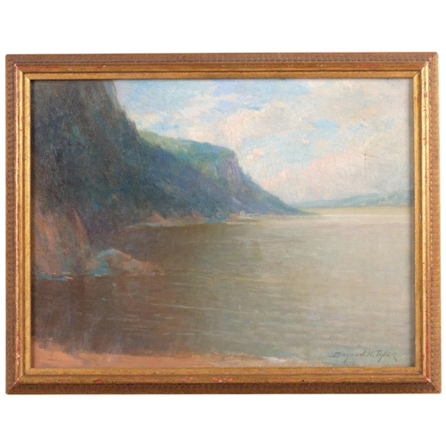 Lot 703       