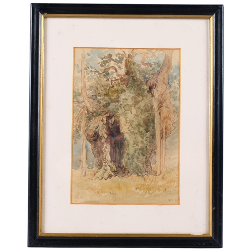 Lot 732       