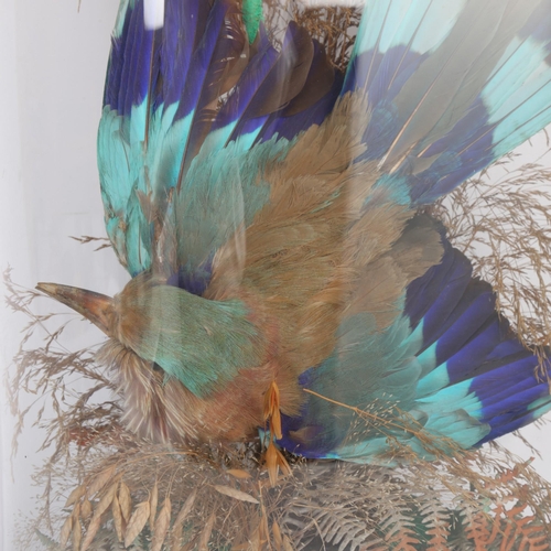 122 - TAXIDERMY - a Victorian bird in naturalistic setting, under glass dome, height 49cm