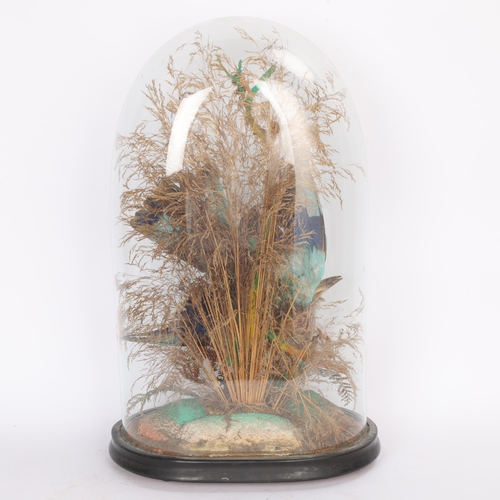122 - TAXIDERMY - a Victorian bird in naturalistic setting, under glass dome, height 49cm