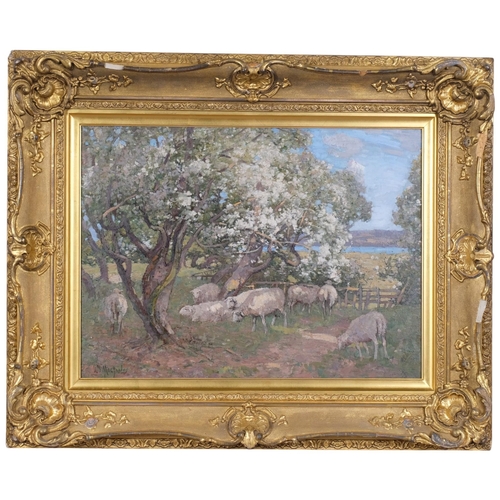 Lot 501       