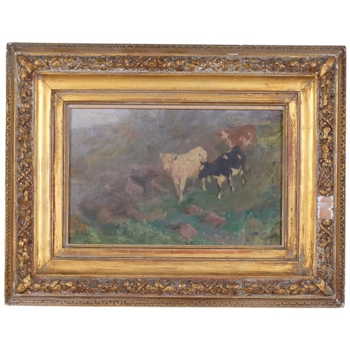 Lot 502       