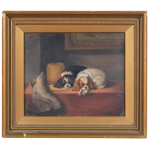 Lot 510       