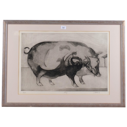 Lot 540       