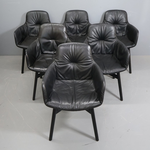Lot 2032      